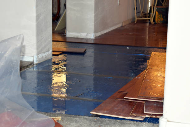 Professional Burst Pipe Cleanup technician working in Glenwood, WA